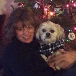 Meet your Posher, Sherry